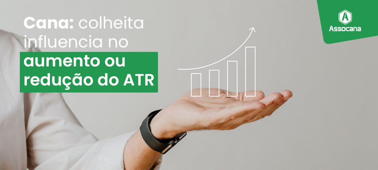 Cana: colheita influencia no aumento ou redução do ATR