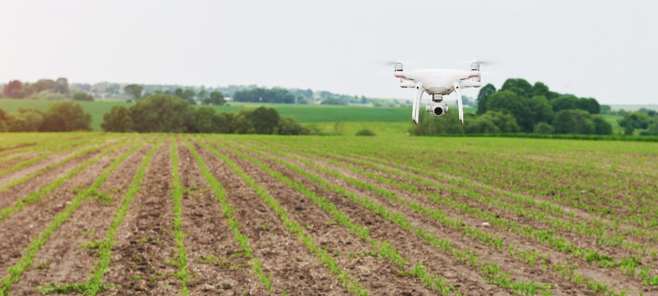 Vantagens do uso de drones na agricultura