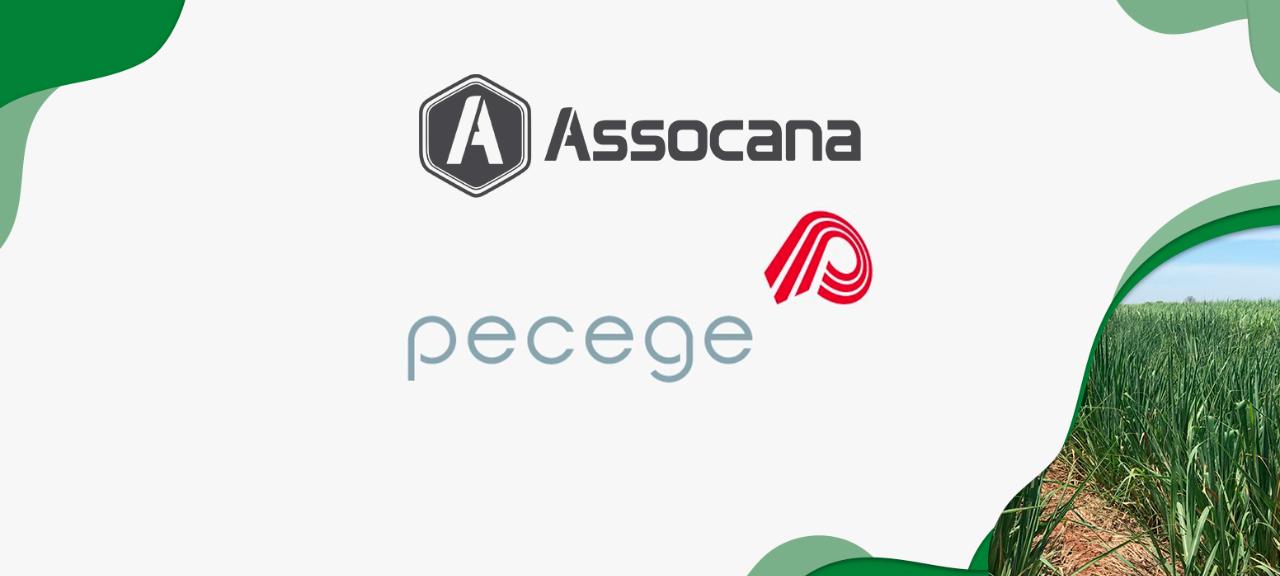 A parceria entre a Assocana e o Instituto Pecege