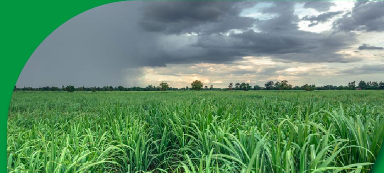 Condições Climáticas