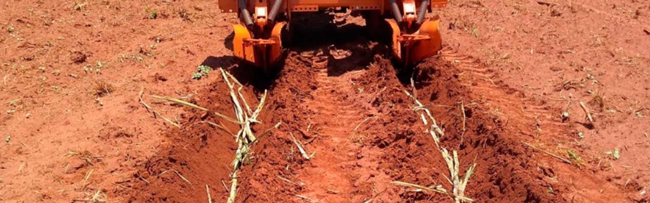 Plantio está atrasado