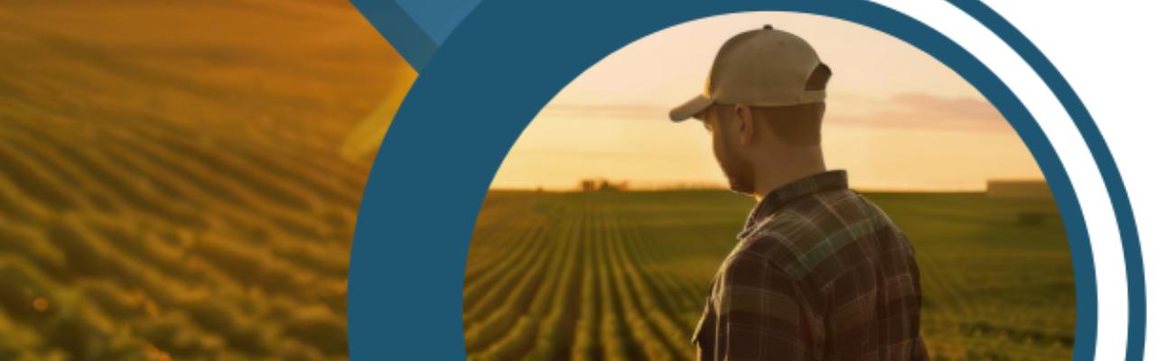 Brasil e China: Passado, Presente e Futuro da relação Comercial e Impactos no Agronegócio