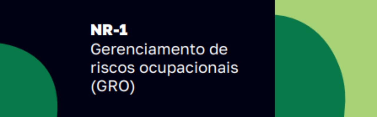 Gerenciamento de Riscos Ocupacionais (GRO)