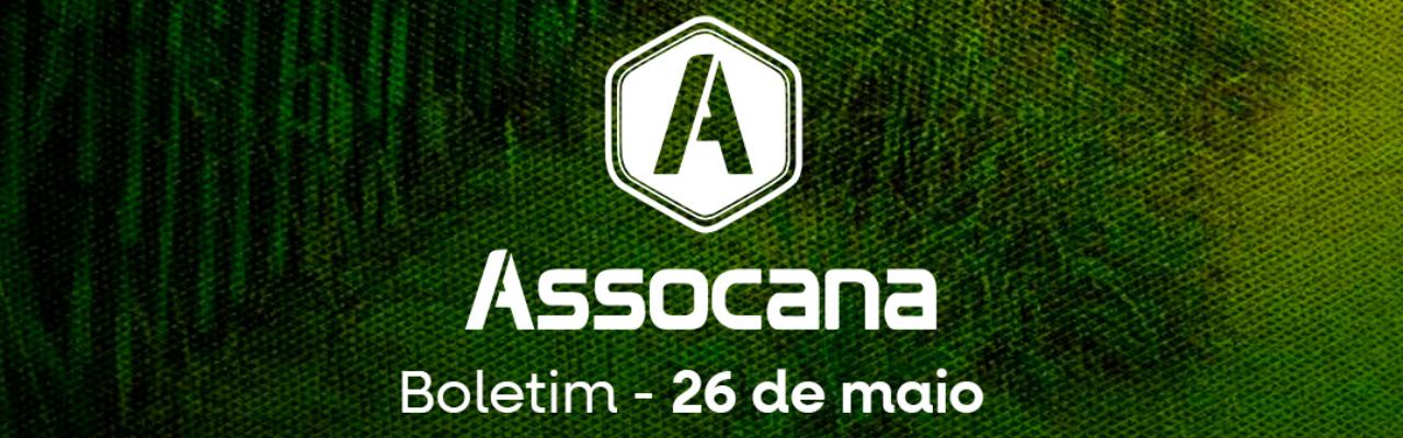 Boletim nº 10 - Assocana Maio 2025