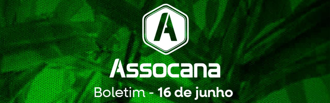 Boletim nº 13 - Assocana Junho 2025