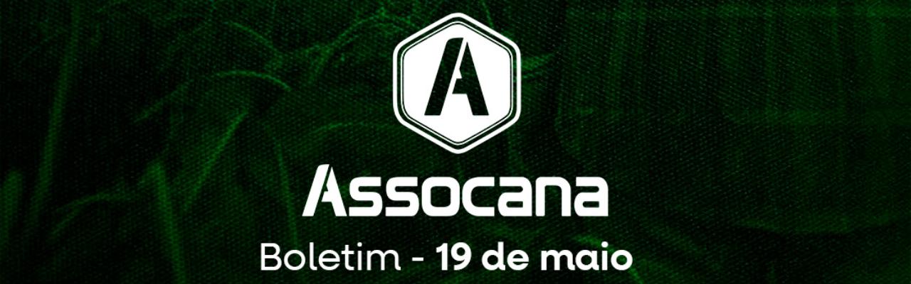 Boletim nº 9 - Assocana Maio 2025