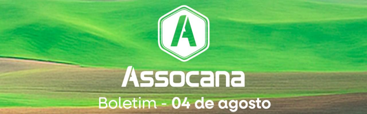 Boletim nº 20 - Assocana Agosto 2025