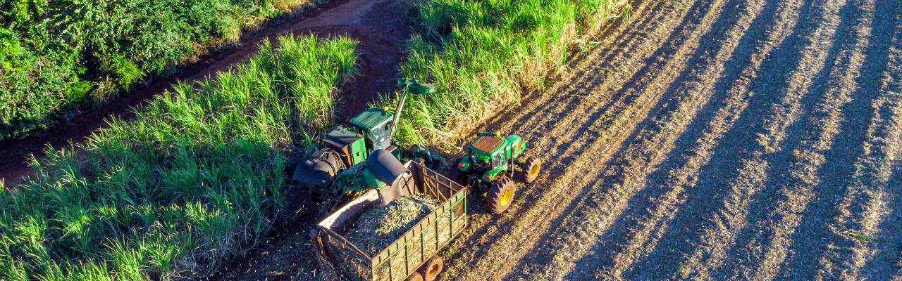 Queda nos Preços do Açúcar e do Petróleo Pressionam Valor do ATR