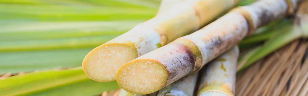 Indicador de Preço de Açúcar Cristal