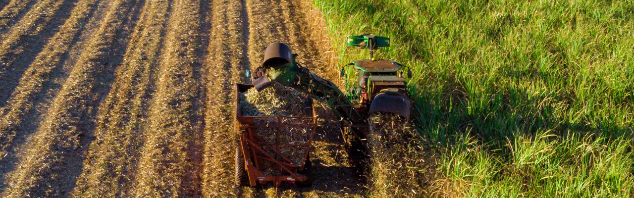 Com Assocana, o produtor nunca está sozinho no campo.