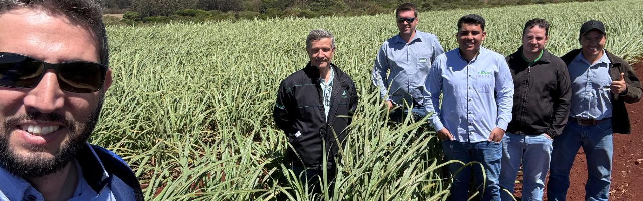 Técnicos da Assocana e do IAC acompanham desempenho de novas cultivares em viveiros da região