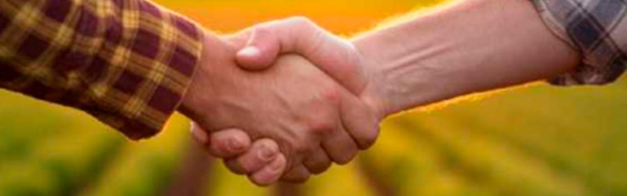 Assocana reforça apoio à Orplana e defende unidade dos produtores na revisão do Consecana