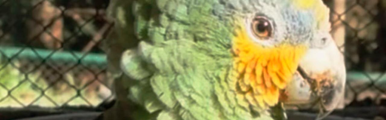 APASS terá atendimento 24h neste final de ano