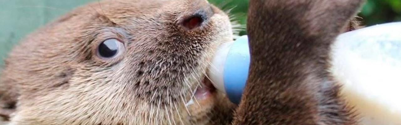 A força do agro também está no cuidado com a vida